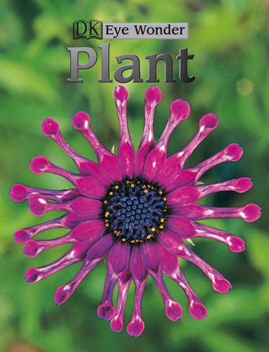plant-2005 plant-2005