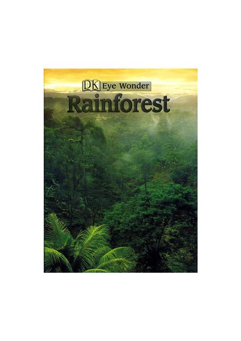 rainforest-2001