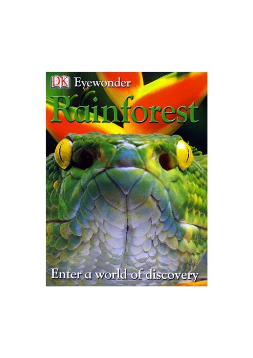 rainforest-2001