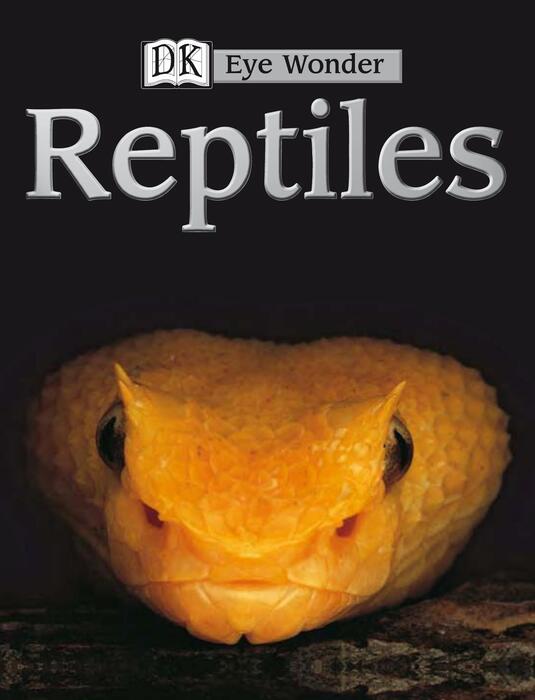 reptiles-2002