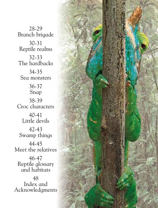 reptiles-2002