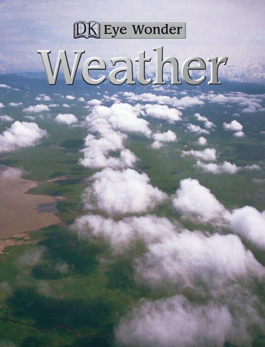 weather-2004