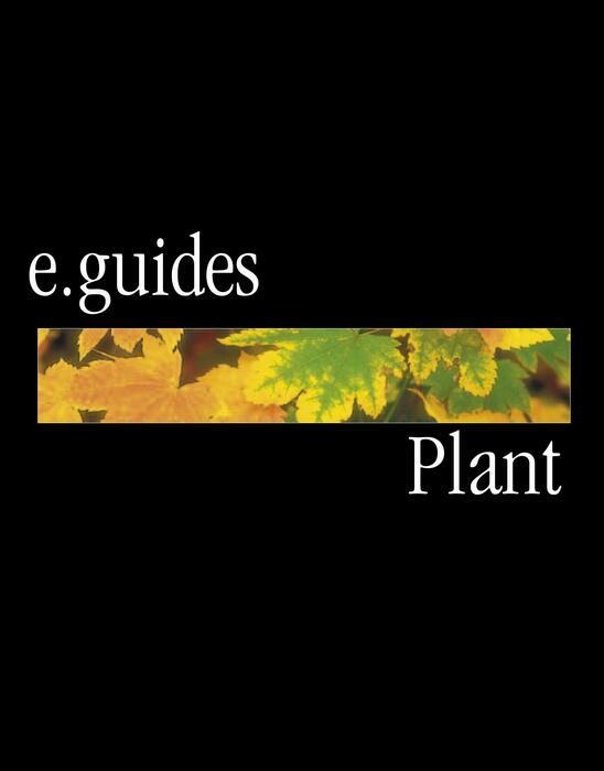 plant-2006