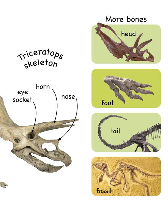 dinosaurs-2007