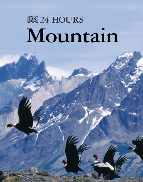 mountain-2007