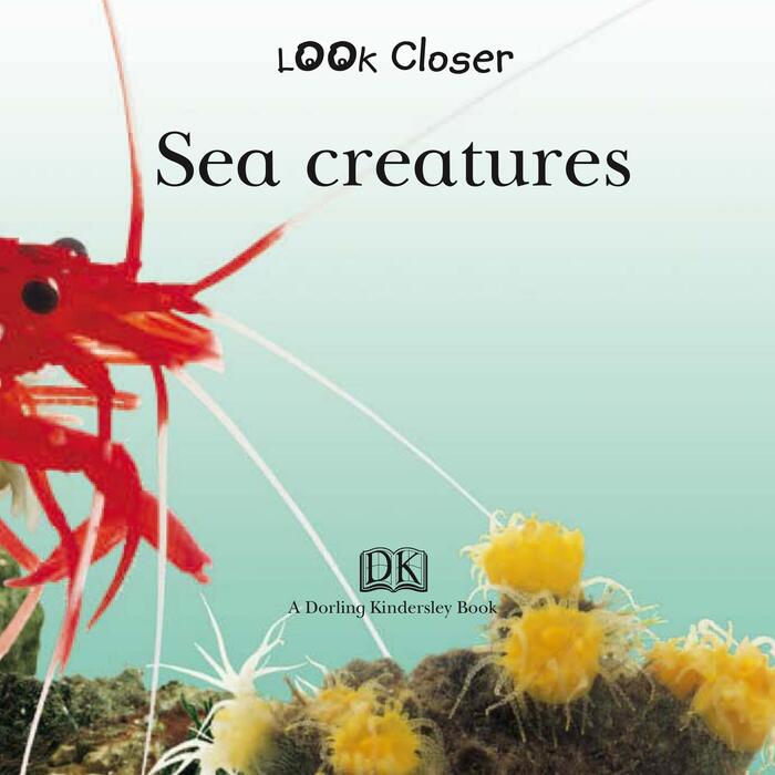 sea_creatures-2005