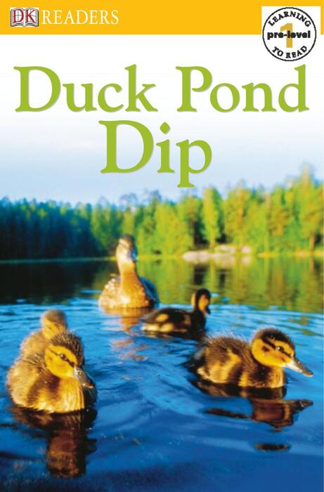 0 duck pond dip