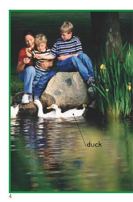 0 duck pond dip