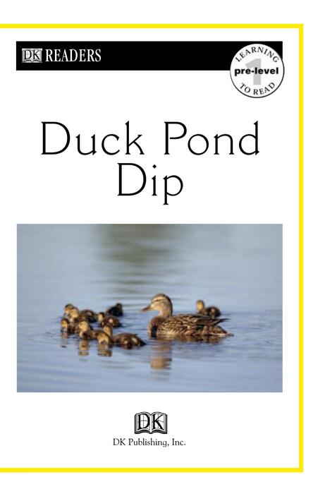 0 duck pond dip