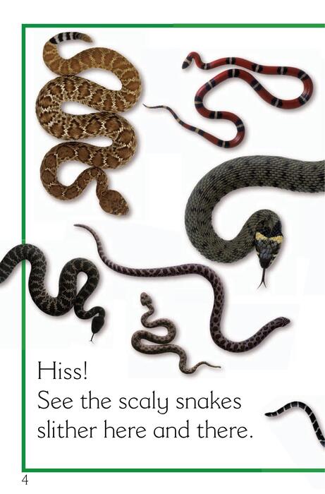 0 snakes slither and hiss