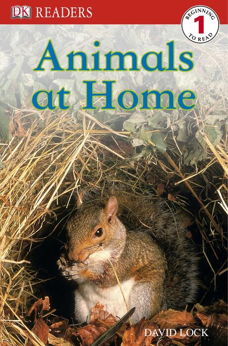 1 animals at home