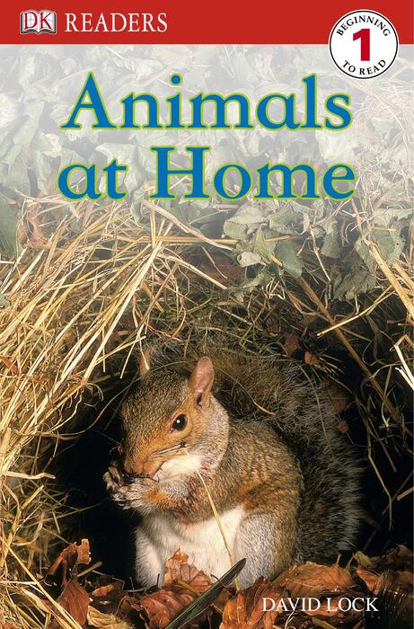 1 animals at home 1 animals at home