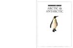 最强DK--Eyewitness--Arctic_&.Antarctic-1997