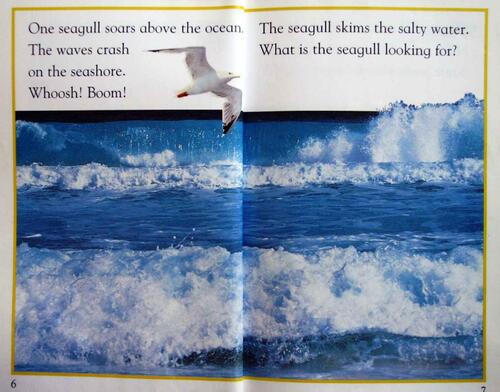 dk_eyewitness_readers_l1_-_a_day_at_seagull_beach