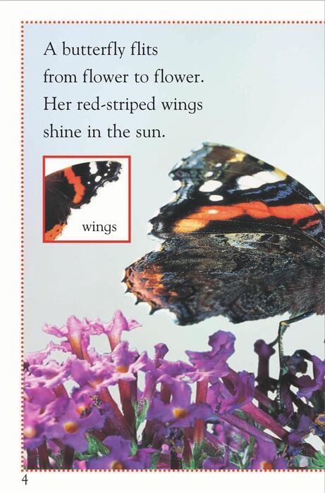 dk_readers_l1_-_born_to_be_a_butterfly