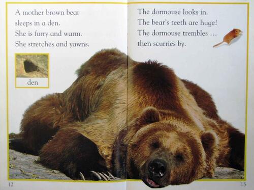 dk_readers_l1_-_a_bed_for_the_winter