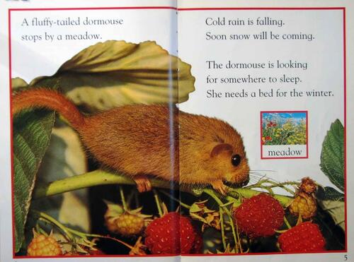 dk_readers_l1_-_a_bed_for_the_winter