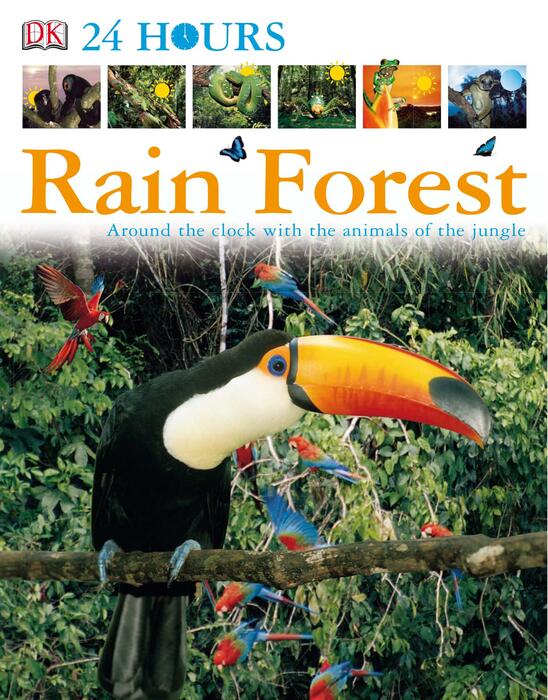 rain_forest-2006