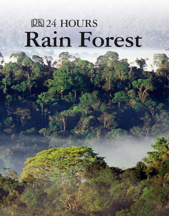 rain_forest-2006