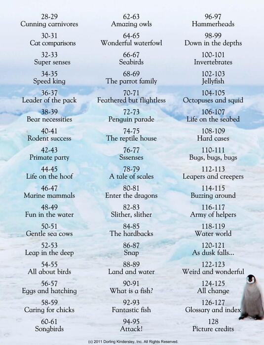 animals_around_the_world-2009