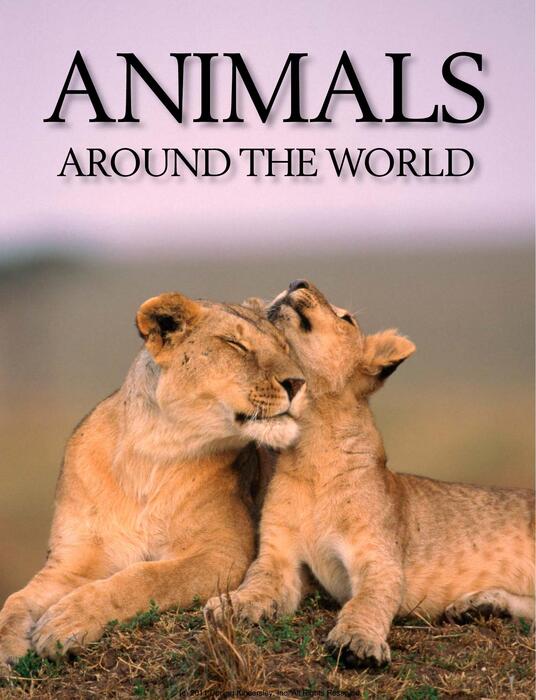 animals_around_the_world-2009