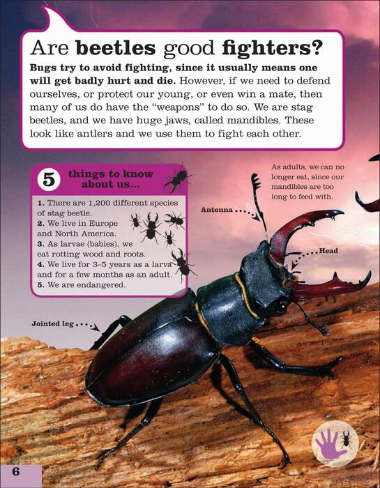 ask_a_bug-2011