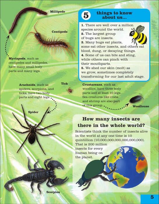 ask_a_bug-2011