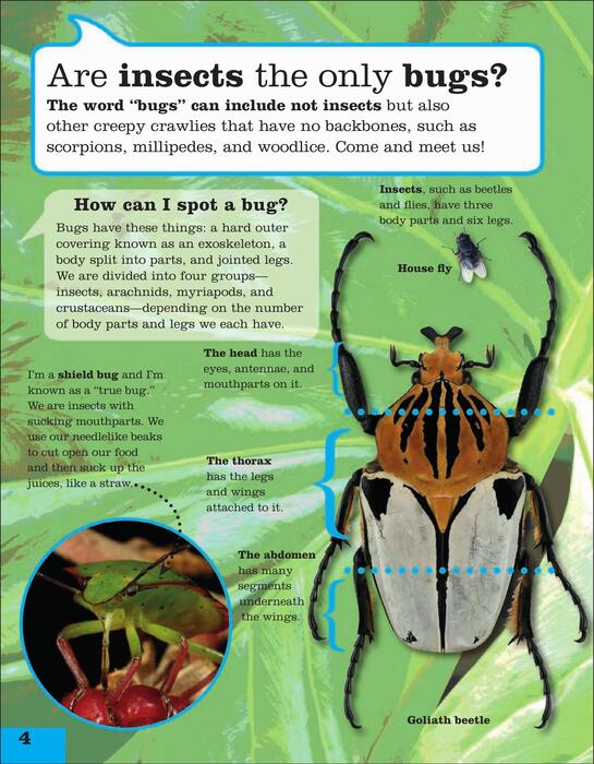 ask_a_bug-2011