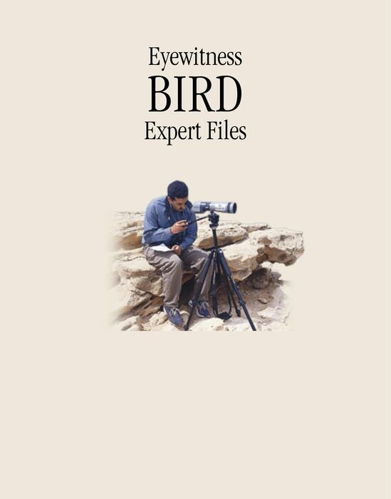 bird(expert)-2007