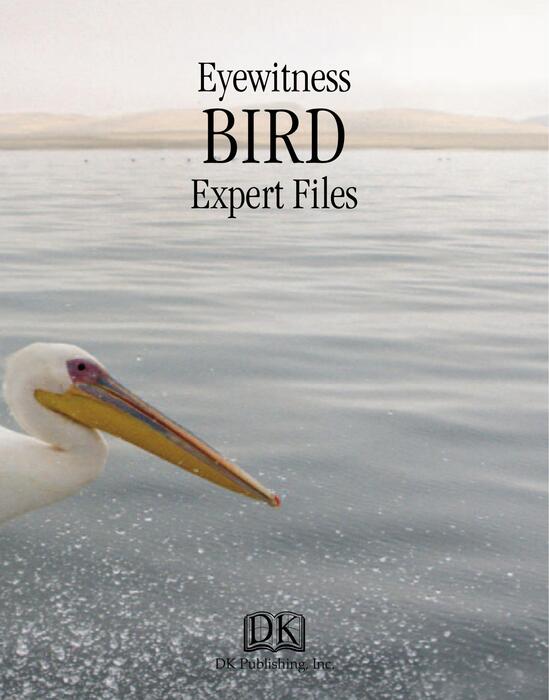 bird(expert)-2007