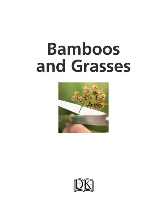 bamboos_and_grasses-2007