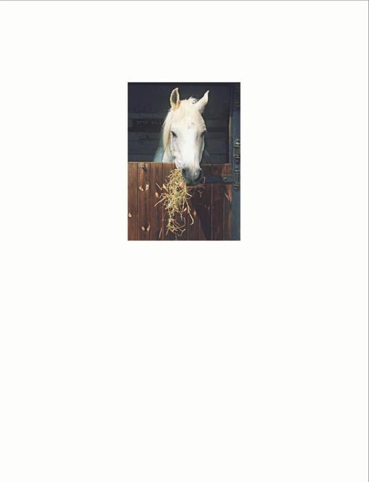 complete_horse_care_manual-2011