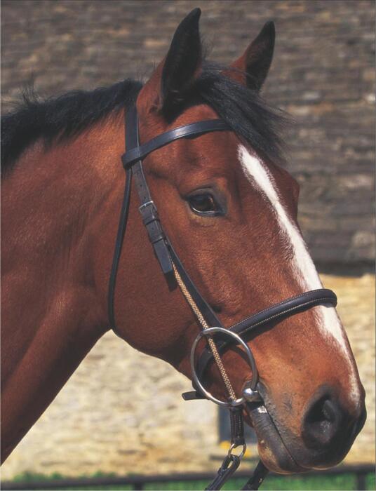 complete_horse_care_manual-2011