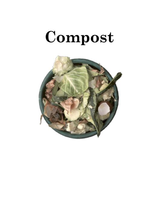 compost_the_natural_way_to_make_food_for_your_garden-2007