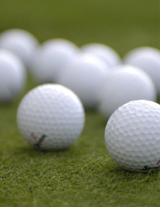 dk go play golf