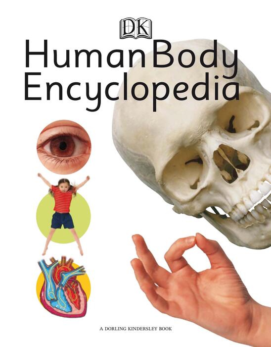 dk human body encyclopedia