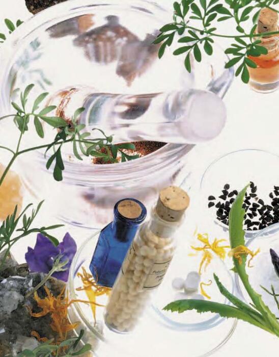encyclopedia_of_homeopathy-2006