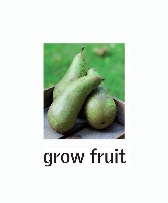 grow_fruit_-2010