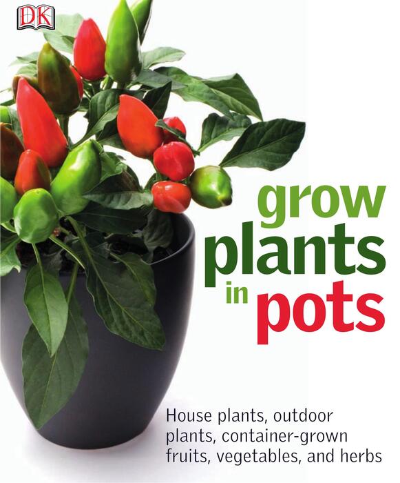 grow_plants_in_pots-2011