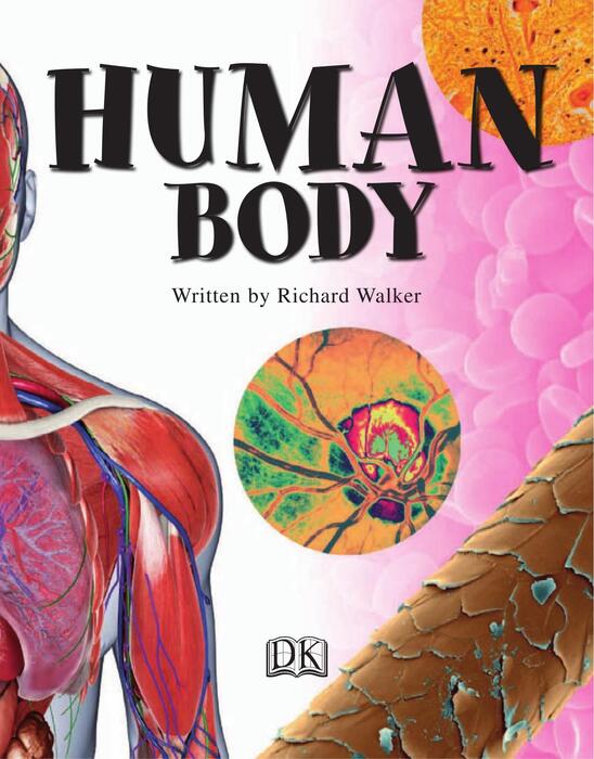 human_body-2010