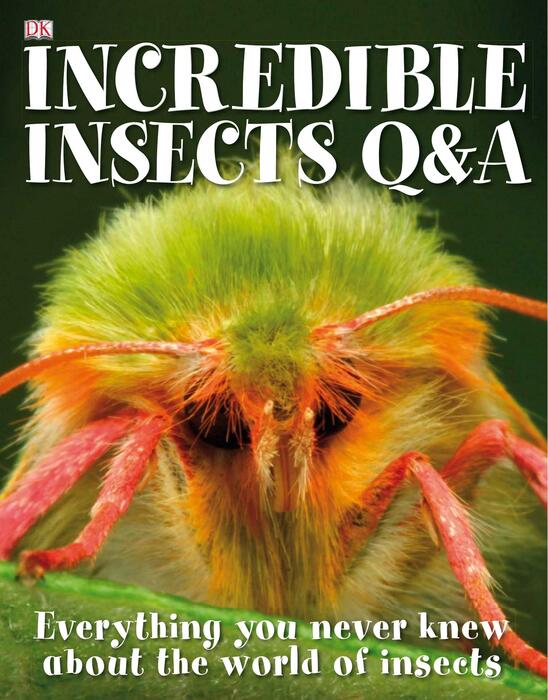 incredible_insects_q_&_a-2009