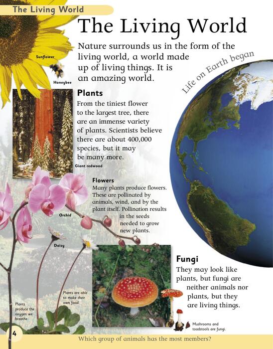 nature_encyclopedia-2006