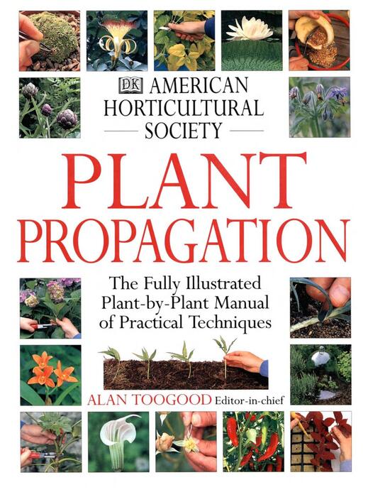 plant_propagation-1999