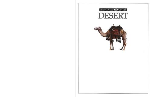 desert-1997