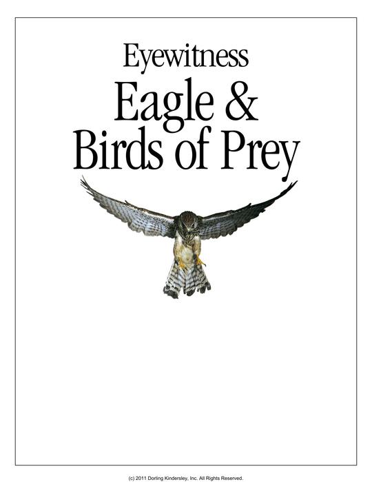 eagles_&_birds_of_prey-2000