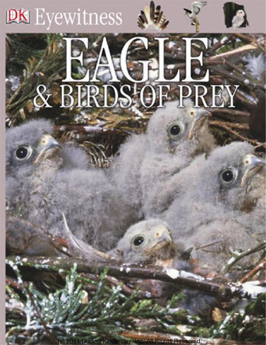 eagles_&_birds_of_prey-2000