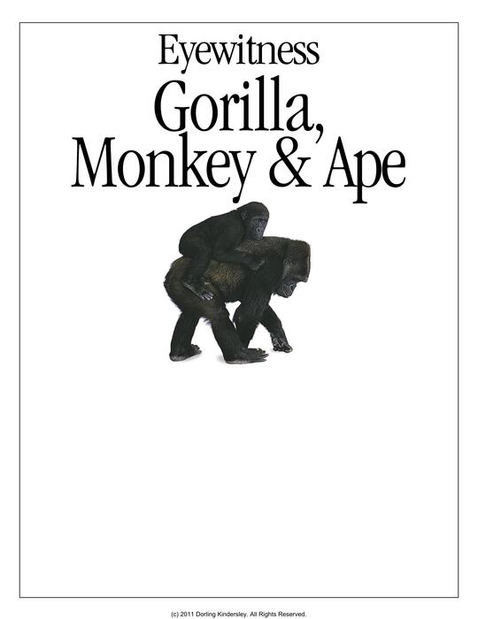 gorilla,_monkey_&_ape-2000