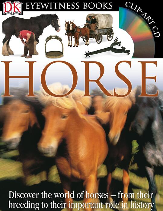 horse-2008