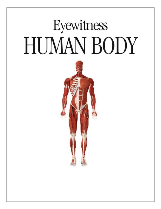 human_body-2009