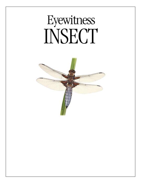 insect-2007